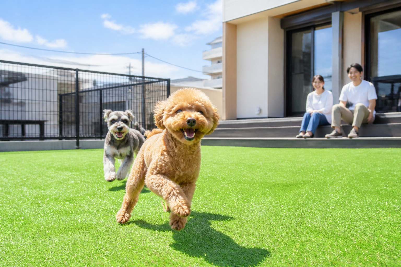 青々とした人工芝のドッグランで、犬が楽しそうに走り回っている写真。清潔感と安全性が伝わる明るいイメージのもの。]